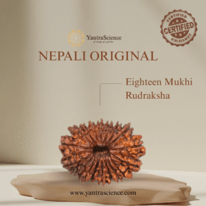 18 Mukhi Rudraksha