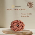 20 Mukhi Rudraksha