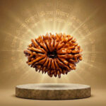 15 Mukhi Rudraksha