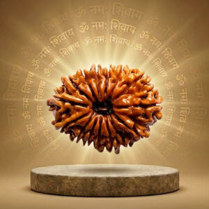 15 Mukhi Rudraksha
