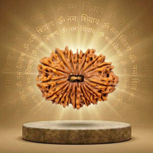 16 Mukhi Rudraksha
