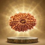 17 Mukhi Rudraksha