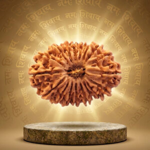 17 Mukhi Rudraksha