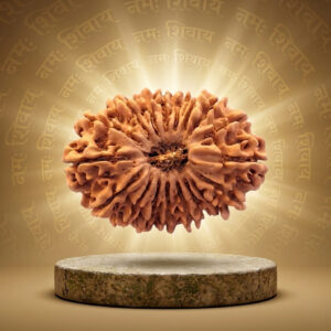18 Mukhi Rudraksha