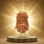 19 Mukhi Rudraksha