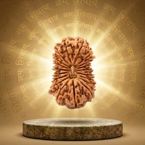 19 Mukhi Rudraksha