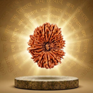 20 Mukhi Rudraksha