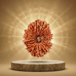 21 Mukhi Rudraksha