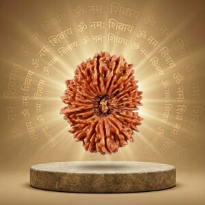 21 Mukhi Rudraksha