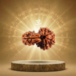 Sawar Rudraksha