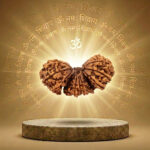 Trijuti Rudraksha