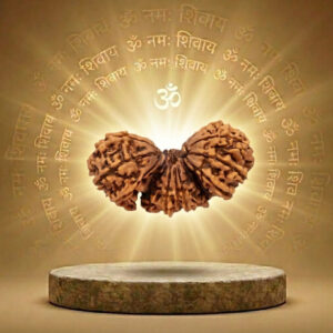 Trijuti Rudraksha